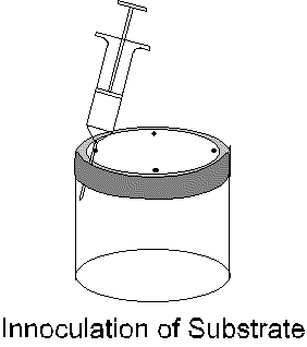 Inoculation