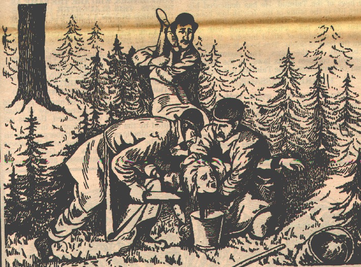 Murder in Polna - Jewish Ritual Murder by Hellmut Schramm