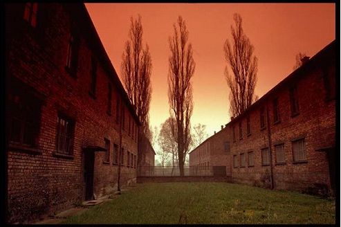 Auschwitz Today