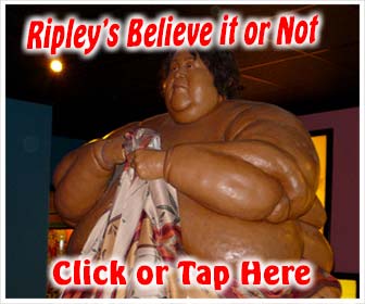 Ripley's Believe it or Not