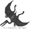 FIG. 2.PTERODLCTYLUS. (<i>After Figuier</i>.)