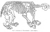 FIG. 7.SKELETON OF MEGATHERIUM. (After Figuier.)