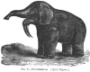 FIG. 8.DINOTHERIUM. (After Figuier.)