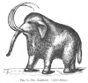 FIG. 9.THE MAMMOTH. (After Jukes.)