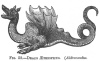 FIG. 52.DRACO ÆTHIOPICUS. (<i>Aldrovandus</i>.)