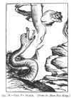 FIG. 54.THE PA SNAKE. (<i>From the Shan Hai King</i>.)