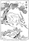 FIG. 84.THE SZ, OR MALAYAN RHINOCEROS. (<i>From the Rh Ya</i>.)