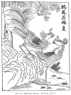 FIG. 91.THE FUNG HWANG. (From the <i>Rh Ya</i>.)