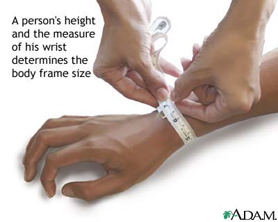 Calculating body frame size Calculating body frame size