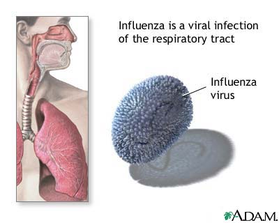 Influenza Influenza