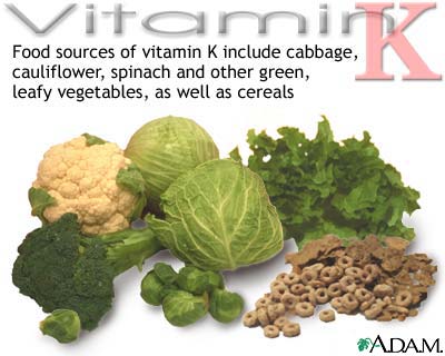 Vitamin K source Vitamin K source