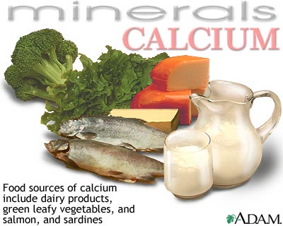 Calcium source Calcium source