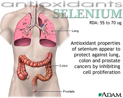 Selenium - antioxidant Selenium - antioxidant