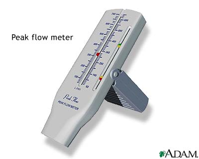 Peak flow meter Peak flow meter