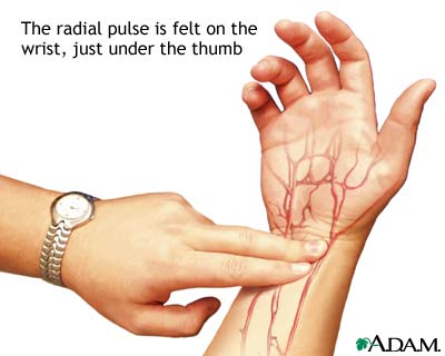 Radial pulse Radial pulse
