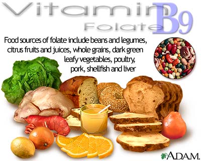 Vitamin B9 source Vitamin B9 source
