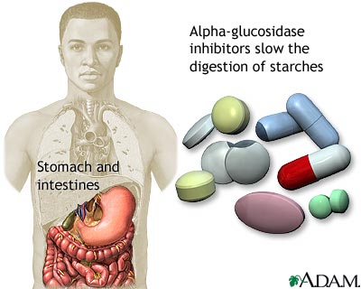Alpha-glucosidase inhibitors Alpha-glucosidase inhibitors