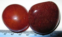 Carnelian sard (mineral specimen).jpg