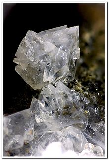 Gismondina Calatrava.jpg