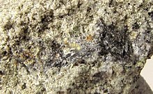 Oosterboschite, Trogtalite, Cuprosklodowskite, Quartz-384834.jpg