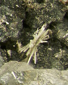 Kukharenkoite-(Ce)-479622.jpg