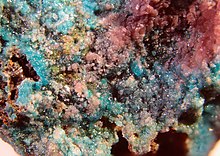 Alfredopetrovite, Ahlfeldite & Chalcomenite.jpg