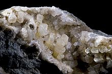 Weloganite2(11x5.5).jpg