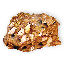 LEVYNE Oregon 3138.jpg