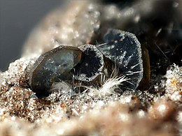 Osumilite, thick tabulars with Mullite - Ochtendung, Eifel, Germany.jpg