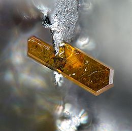 Xanthoconite-220973.jpg