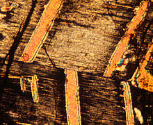 PyroxeneExsol 0.5mmm.jpg