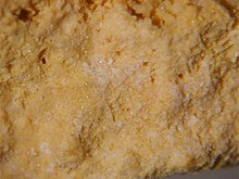 Ferruccite, Avogadrite - Vesuvius, Italia.jpg