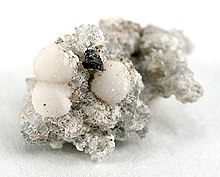 Dresserite-lor05a.jpg