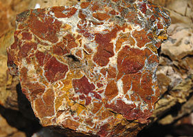 Jasper outcrop in the Bucegi Mountains.jpg