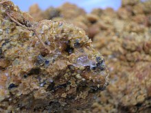 Imogolite soil.jpg