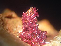 Phoenicochroite, Iranite-235291.jpg