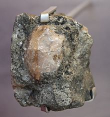 Sarcolite national museum of scotland.JPG