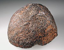Ixiolite-490369.jpg