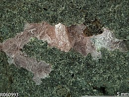 LanthaniteNd R060993 Sample Photo 10941 M.jpg