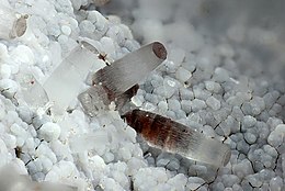 Erionite-348877.jpg