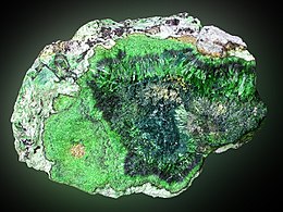 Guilleminite-Vandenbrandeite-Cuprosklodowskite-201031.jpg