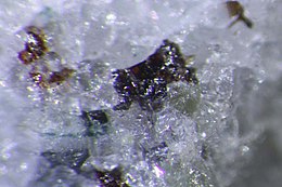 Traskite (brown)-Kampfite (bluish).jpg