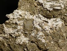 Brushite, Montmorillonite-445846.jpg