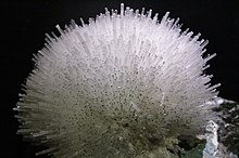 Mesolite from Bombay, Hunterian Museum, Glasgow.jpg