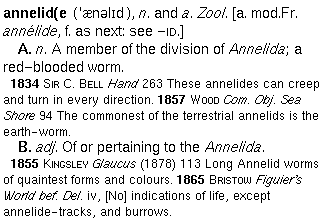 part of entry for annelid